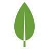 mongodb